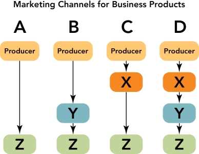   Figure 15-4 -Figure 15-4 above depicts the four most common marketing channels for business products and services.Channel  D  would be an appropriate marketing channel for __________. A)  supercomputers B)  electrical products C)  Boeing aircraft D)  Caterpillar tractors E)  industrial fasteners