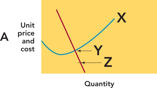   Figure 13-10A -Figure 13-10A above, Y  represents A)  fixed cost B)  marginal cost C)  variable cost D)  marginal revenue E)  MR = MC