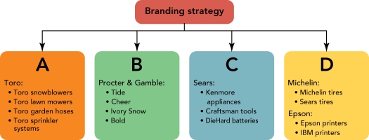   Figure 11-7 -Companies can employ several different branding strategies.In Figure 11-7 above, C  represents a __________ strategy. A)  retailer branding B)  multiproduct branding C)  multibranding D)  private branding E)  mixed branding
