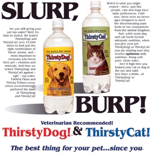   Thirsty Dog! Thirsty Cat! Ad -could a firm use a test market in its new-product process?
