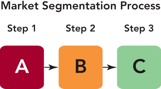   Figure 9-1 -Figure 9-1 above, A  represents which stage of the market segmentation process? A)  link needs to actions B)  identify market needs C)  establish a marketing protocol D)  execute marketing program actions E)  segment and select the target markets