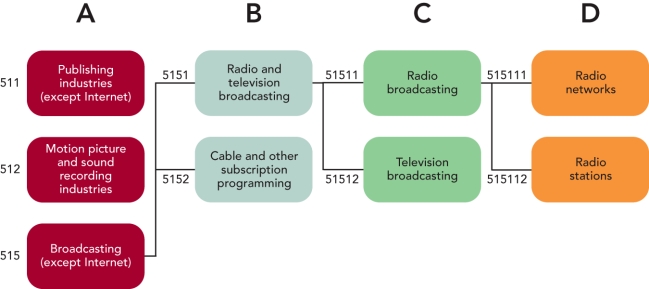  Figure 6-1 -Based on Figure 6-1 above,what is MOST LIKELY the industry sector represented by NAICS code 51? A)  manufacturing B)  fisheries C)  information D)  publishing E)  retailing
