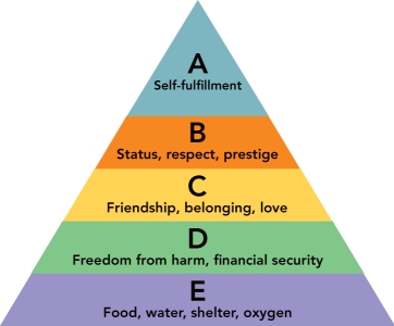  Figure 5-5 -According to Figure 5-5 above,self-fulfillment is an example of the highest-order needs referred to as A)  physiological needs. B)  social needs. C)  safety needs. D)  personal needs. E)  self-actualization needs.