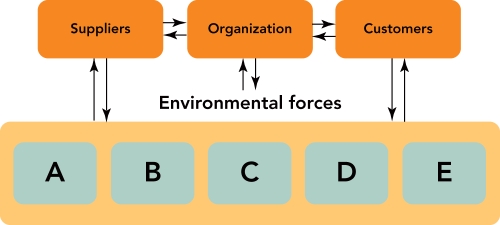   Figure 3-1 -Using Figure 3-1 above,identify and explain the five environmental forces ( A,   B,   C,   D,  and  E )that affect an organization.