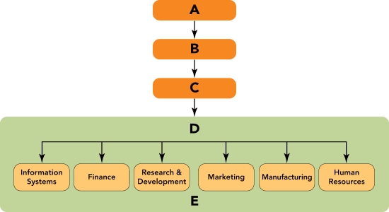   Figure 2-1 -Figure 2-1 above, D  represents the A)  strategic business unit level. B)  functional level. C)  corporate level. D)  board of directors. E)  CMO.