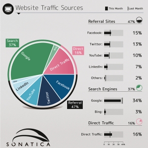   Figure 2-3a -According to Figure 2-3a above,which of the following is the largest  Website Traffic Source?  A)  YouTube B)  Direct traffic C)  Google D)  Facebook E)  Twitter