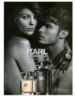    -The Karl Lagerfeld ad shown above is an example of which type of appeal? A) reminder B) fear C) advocacy D) sex E) guilt