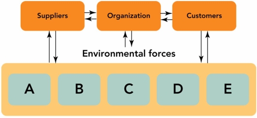   Figure 3-1 -Using Figure 3-1 above, identify and explain the five environmental forces (A, B, C, D, and E) that affect an organization.