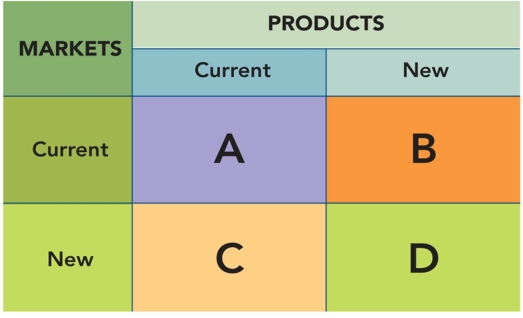   Figure 2-5 -Based on Figure 2-5 above, identify and explain each of the four market-product strategies represented by each quadrant (A, B, C, and D) in the diversification analysis matrix.