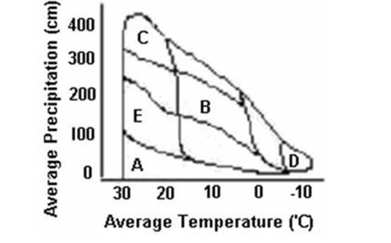 Use the following graph to answer the question.    -Temperate forest biomes would fall in the area marked by the letter A)  A B)  B C)  C D)  D E)  E