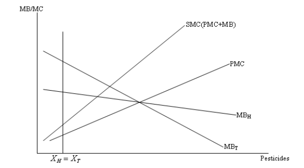 Consider the case of two farmers,Tony and Hakim,depicted in the following figure.Both use DDT (a chemical pesticide)for their crops.The use of DDT causes an externality for swimmers down river from the farms. (a)Show the amount of pesticides used if each uses the privately optimal level of pesticides. (b)Show the amount of pesticides used if they are socially concerned. (c)Why is a reduction back to X<sub>H</sub> = H<sub>T</sub> not socially desired?  