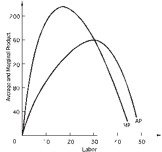 <strong>Refer to the following: The wage rate is $600 and total fixed cost is $15,000. -How much output does the firm produce when average variable cost is at its minimum?</strong> A) 270 B) 375 C) 30 D) 1,600 E) 4,800