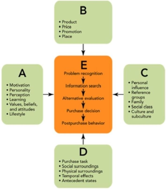 Figure 5-3    -In Figure 5-3, letter  C  represents the  _________influences that can affect the consumer purchase decision process. Influences that can affect the A) socio-cultural B) environmental C) situational D) economic