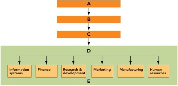 Figure 2-1    -In Figure 2-1,  A  represents the: A) functional-level strategy level. B) CEO. C) Board of Directors. D) corporate-level strategy level.