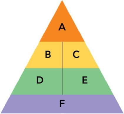 Figure 11-4    -In Figure 11-4,  D  and  E  represents the second step in the sequential building process of brand equity which would be to establish a brand's meaning in the minds of consumers from two dimensions: A) brand connotation/brand awareness B) brand performance/brand imagery C) brands identity/brand emotion D) consumer judgments/consumer feelings