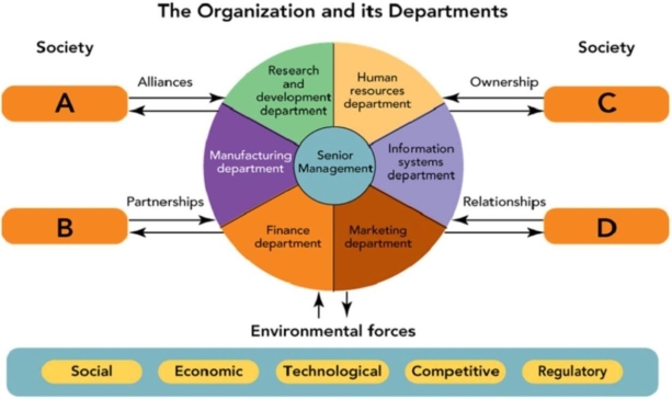Figure 1-1    -In Figure 1-1,  D  represents a firm's relationship with A) customers B) suppliers C) shareholders D) other organizations