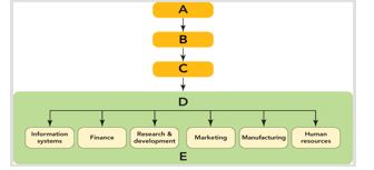 Figure 2-1   -In Figure 2-1,Box A represents the A)  functional level. B)  board of directors. C)  corporate level. D)  CEO. E)  strategic business unit level.