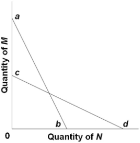 The budget line shift from ab to cd in the figure is consistent with   A)  decreases in the prices of both M and N. B)  an increase in the price of M and a decrease in the price of N. C)  a decrease in money income. D)  an increase in money income and decrease in the price of N.