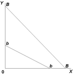 The movement of the budget line from BB to bb in the figure suggests that income has   A)  increased and the price of X has decreased. B)  fallen and the price of Y has increased. C)  fallen and the price of Y has decreased. D)  decreased, but there have been no price changes.