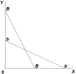 If the budget line shifts from BB to bb in the diagram, we can infer that the   A)  price of Y has increased and the price of X has decreased. B)  price of Y has decreased and the price of X has increased. C)  prices of both X and Y have increased. D)  prices of both X and Y have decreased.