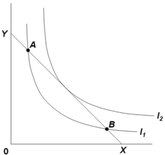 In the diagram,   A)  the consumer is indifferent between points A and B, but neither point maximizes his utility. B)  the consumer is indifferent between points A and B, and either point will maximize his utility. C)  any combination of X and Y entailing more of Y and less of X than shown at B would be preferred. D)  any combination of X and Y entailing more of X and less of Y than shown at A would be preferred.