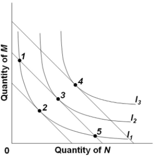Refer to the diagram, in which the downsloping lines are budget lines and I<sub>1</sub>, I<sub>2</sub>, and I<sub>3</sub><sub> </sub>comprise an indifference map. The combinations of products M and N indicated by points 1, 2, and 5 are such that   A)  point 2 yields more utility than either 1 or 5. B)  points 1 and 5 yield more utility than point 2. C)  points 1, 2, and 5 yield equal amounts of utility. D)  the levels of utility associated with these three points cannot be compared.