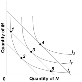 Refer to the diagram, in which the downsloping lines are budget lines and I<sub>1</sub>, I<sub>2</sub>, and I<sub>3</sub><sub> </sub>comprise an indifference map. The combinations of products M and N indicated by points 1, 3, and 5 are such that   A)  all three imply the same level of utility. B)  1 and 5 imply a higher level of utility than does 3. C)  3 implies a higher level of utility than does 1 or 5. D)  the person is indifferent among the three combinations.