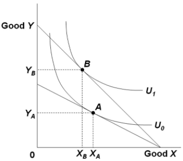 Refer to the diagram. Suppose the budget line shifts so that the consumer's equilibrium changes from point A to point B. This means that the   A)  price of Y has increased. B)  price of Y has decreased. C)  price of X has increased. D)  consumer's money income has increased.