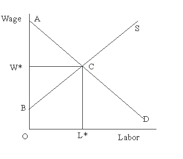   Figure 45.1 -In Figure 45.1, the added revenue that employers bring in from the work of their employees at the equilibrium wage-labor combination is  A) OACL* B) OW*CL* C) OBCL* D) ABC