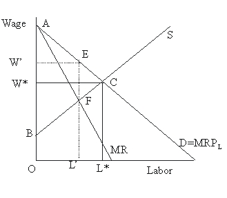   Figure 45.4 -In Figure 45.4, when compared to the perfectly competitive equilibrium, the number of workers hired as a result of unionization  A) decreases from L* to L'. B) increases from L' to L*. C) remains at L'. D) remains at L*.