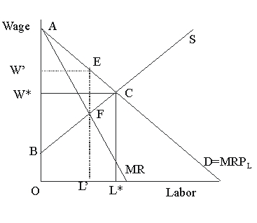   Figure 45.4 -In Figure 45.4, it is clearly the case that  A) the total amount paid to workers depends upon the elasticity of labor demand. B) the total amount of labor employed is less under perfect competition than unionization. C) every individual worker is better off under perfect competition than unionization. D) every individual worker is better off under unionization than perfect competition.