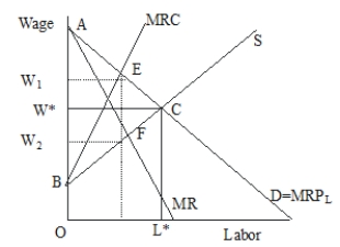   Figure 45.5 -In Figure 45.5, where one union is bargaining against one employer, the highest possible negotiated wage paid to workers will be  A) W*. B) W<sub>1</sub><sub>.</sub> C) W<sub>2</sub><sub>.</sub> D) an undetermined point between W<sub>1</sub> and W<sub>2</sub><sub>.</sub>