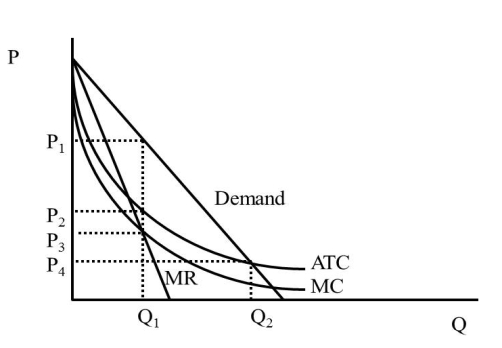   Figure 42.1 -In Figure 42.1, what is the quantity an unregulated monopolist will produce (assuming the regulator strives for zero economic profit) ?  A) Q<sub>1</sub> B) Q<sub>2</sub> C) Less than Q<sub>1</sub> D) More than Q<sub>2</sub>