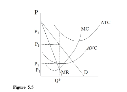   -In Figure 5.5, a monopolist would charge which price?  A) P<sub>1</sub> B) P<sub>2</sub> C) P<sub>3</sub> D) P<sub>4</sub>