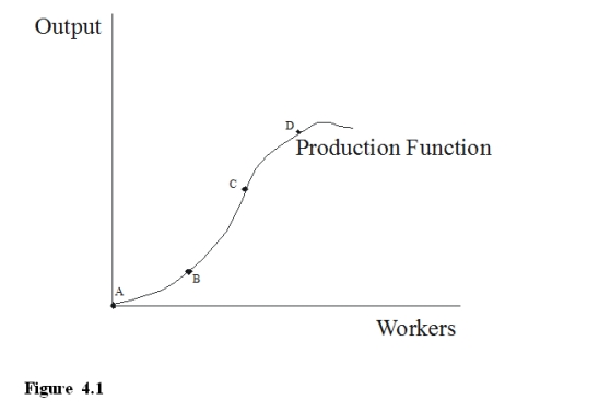   -Refer to Figure 4.1, the increase in output from point B to C is greater than the increase in output from point C to D because  A) more workers always produce more. B) better workers are usually hired after the earlier ones. C) a small number of workers cannot take as good advantage of the division of labor as a larger number. D) eventually workers are up against the fact that there are fixed inputs and more workers do not add as much.