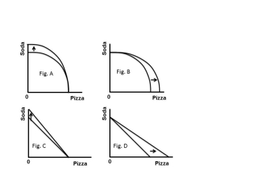 Figure 1.10 -Referring to the Production Possibilities Frontiers in Figure 1.10 A, B, C, and D, which depicts specialized growth in pizza when there is constant opportunity cost. A) Fig. A B) Fig. B C) Fig. C D) Fig. D