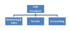 Julio is the owner of Celebration, Inc., a small party supply company. The company provides tents, tables, chairs, and related paraphernalia for wedding, Bar Mitzvah, Bat Mitzvah, graduation, birthday, and other celebratory events. As sales have increased, the organization has hired more personnel and departmentalized to more efficiently handle purchasing, sales, service, and accounting. Everyone is still responsible for achieving company goals. Upon seeing Celebration's organization chart, you agree it uses a line organization model.  