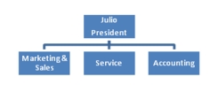 Julio is the owner of Celebration, Inc., a small party supply company. The company provides tents, tables, chairs, and related paraphernalia for wedding, Bar Mitzvah, Bat Mitzvah, graduation, birthday, and other celebratory events. As sales have increased, the organization has hired more personnel and departmentalized to more efficiently handle purchasing, sales, service, and accounting. Everyone is still responsible for achieving company goals. Upon seeing Celebration's organization chart, you agree it uses a _______________.   A)  line organization model  B)  line-and-staff organization model C)  matrix organization model D)  cross-functional team organization model