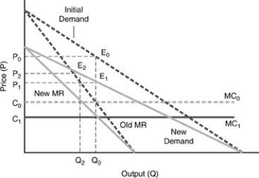 Figure 17-2 represents a monopolist faced with a decrease in the demand for her product.She initially charges P₀ and produces Q0. Figure 17-2    -Without changes in MC to maximize profits,the firm will produce at point ________ on the new demand curve and lower price to ________. A) E₁;P₁ B) E₀;P₀ C) E₂;P₂ D) E₀ or E₁;P₀