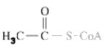 What important high energy functional group is shown in molecule shown?   A) Methyl. B) Ketone. C) Thioester. D) Thioanhydride.