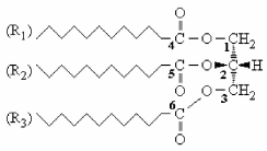 Which bonds of the triacylglycerol shown are hydrolyzed by pancreatic lipase?   A) The carbon-carbon bonds between atoms 1,2 and 3. B) The ester bond at carbon 2 only. C) The bonds between the carbonyl carbons 4 and 6 and the first carbon of the hydrocarbon chains. D) The ester bonds at carbons 1 and 3 only.