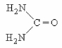 The structure shown below is ________.   A) urea B) uridine C) uric acid D) carbodiamine