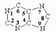 The purine ring system is shown below.What is the source of the carbon atoms 2 and 8 during de novo biosynthesis of purines?   A) Carbon dioxide. B) Aspartate. C) 10-formyltetrahydrofolate. D) Glutamine.