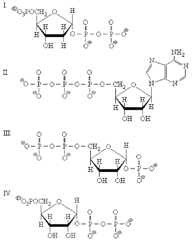 Which structure below is PRPP?   A) I B) II C) III D) IV