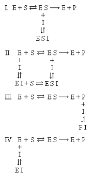 Which equilibrium below applies to noncompetitive inhibition?   A) I B) II C) III D) IV