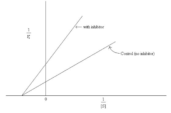 What type of inhibition is indicated by the data graphed below?   A) Competitive. B) Uncompetitive. C) Noncompetitive. D) Irreversible.