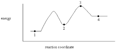 On the energy diagram below,which point represents an intermediate?   A) Point 1 B) Point 2 C) Point 3 D) Point 4