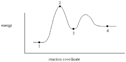 An enzyme stabilizes the transition state that is bound in the active site.What effect will this have on the energy diagram below? The diagram shown below is for the uncatalyzed reaction.   A) Energy of point 1 is raised. B) Energy of point 2 is raised. C) Energy of point 2 is lowered. D) Energy of point 3 is lowered. E) Energy of point 4 is raised.