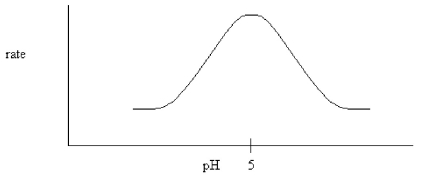 The following pH dependence was found for the activity of a certain enzyme-catalyzed reaction.   If it is known that the only two ionizable residues in the active site are both glutamates,which conclusion can be drawn? A) The glutamates have different microenvironments which cause their pKa's to differ. B) One of the glutamates must be amidated. C) Both glutamates have a pKa equal to 5.0. D) Both glutamates are deprotonated during the reaction.