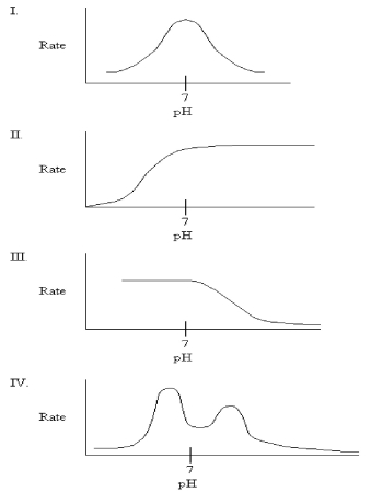 Which graph might you expect for the pH profile of an enzyme's activity if the only ionizable residue in the active site is aspartate?   A) I B) II C) III D) IV